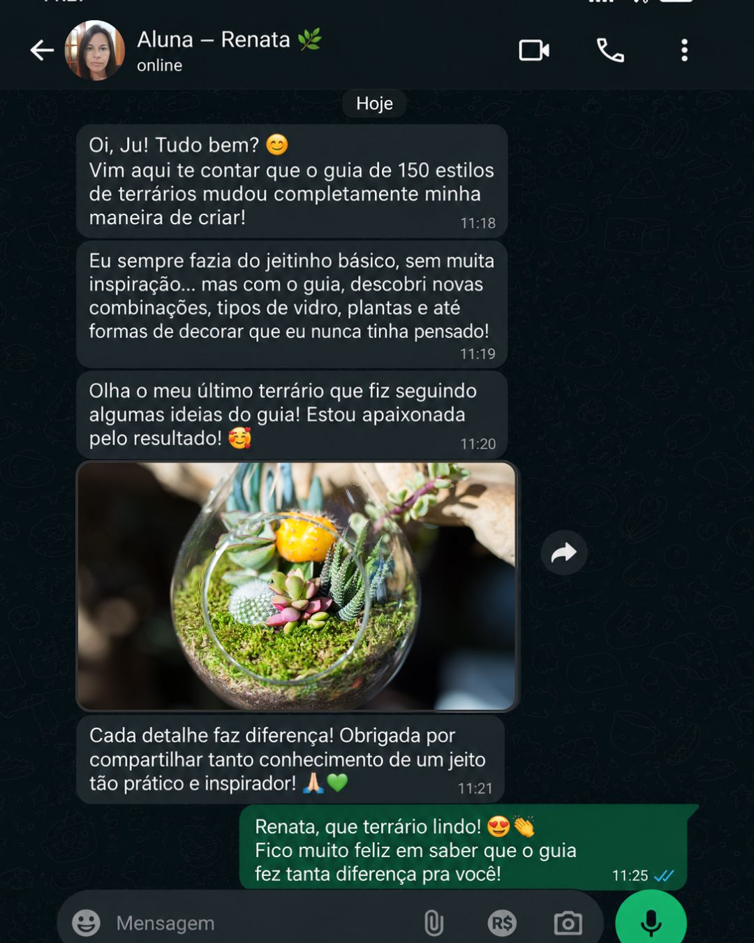Depoimento no WhatsApp de aluna Renata encantada com o terrário